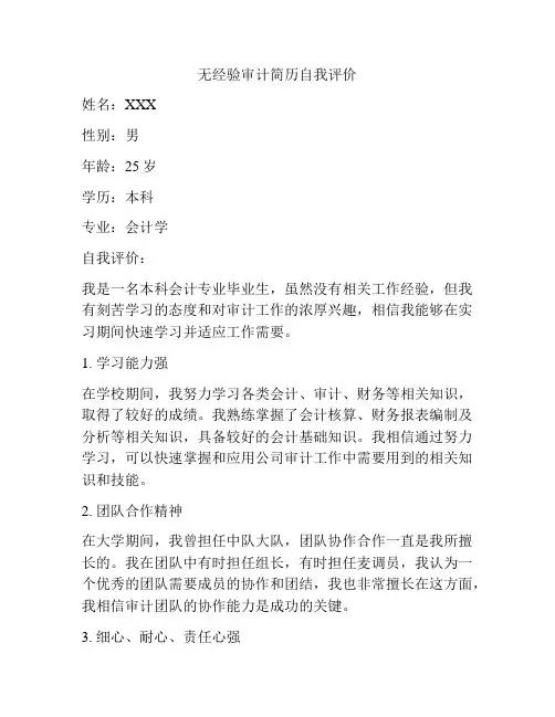 无经验审计简历自我评价