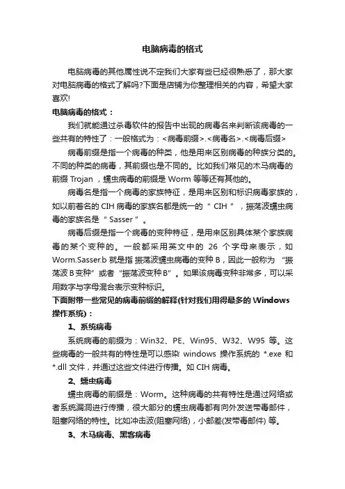 电脑病毒的格式