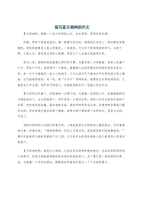 描写夏天杨树的作文