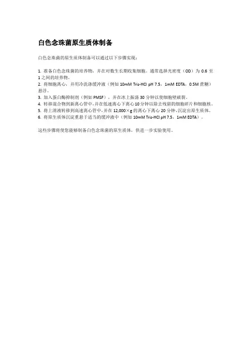 白色念珠菌原生质体制备