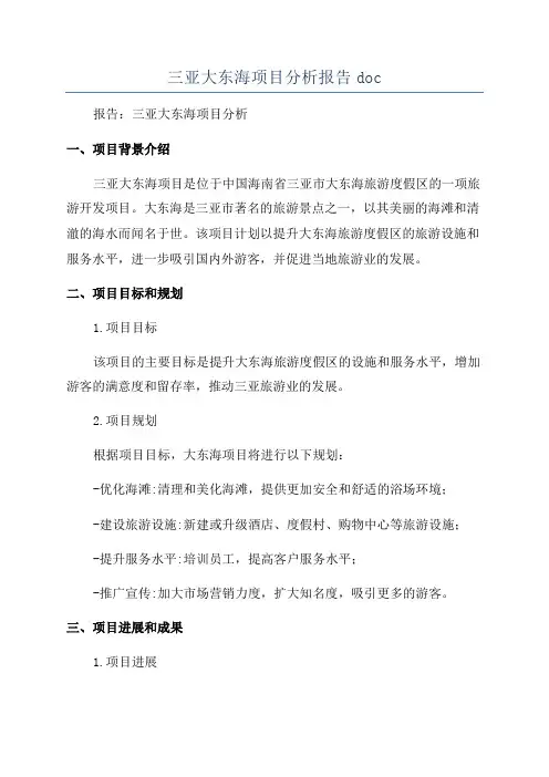 三亚大东海项目分析报告doc
