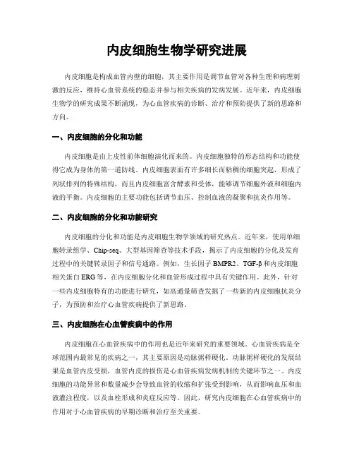 内皮细胞生物学研究进展