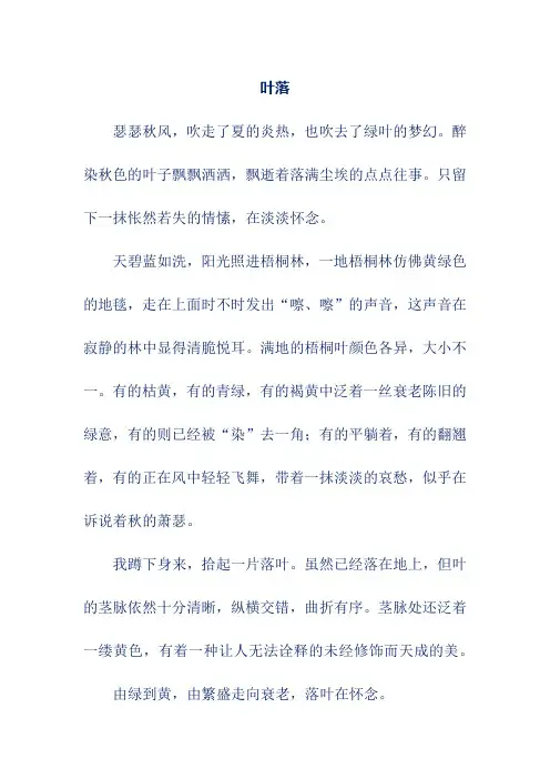 初中优秀作文(含点评)——叶落