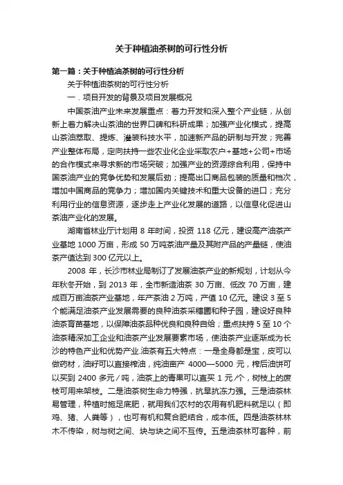 关于种植油茶树的可行性分析