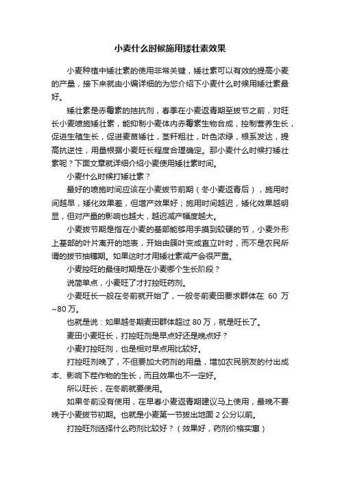 小麦什么时候施用矮壮素效果
