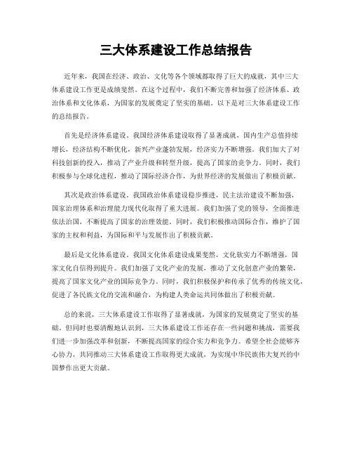 三大体系建设工作总结报告