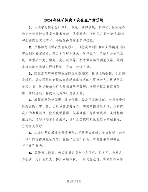 2024年煤矿防突工安全生产责任制（二篇）