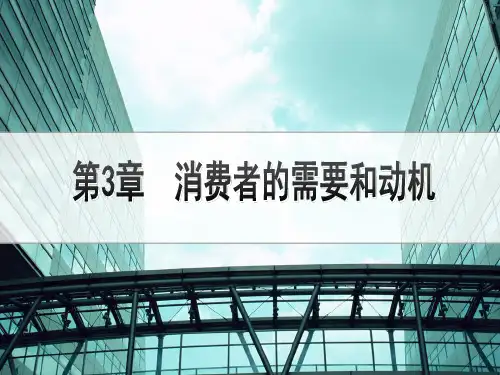 消费者的需要和动机