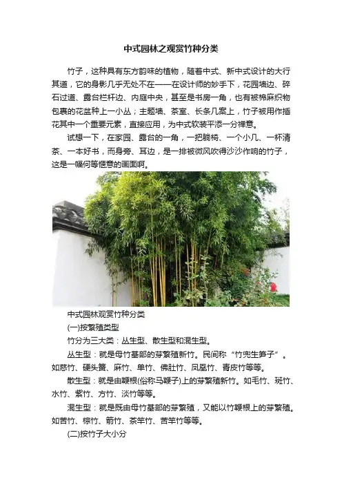 中式园林之观赏竹种分类