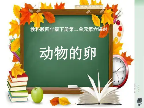 四年级下册科学课件PPT：动物的卵-教科版1