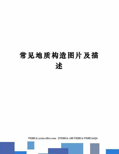 常见地质构造图片及描述修订稿