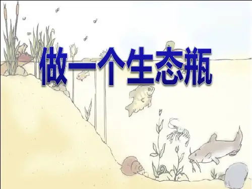 《做一个生态瓶》生物与环境2-教科版五年级科学上册PPT课件
