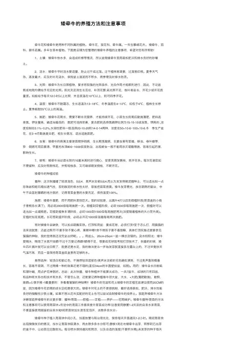 矮牵牛的养殖方法和注意事项