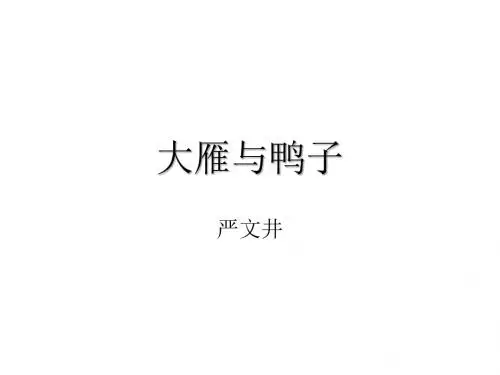 大雁与鸭子