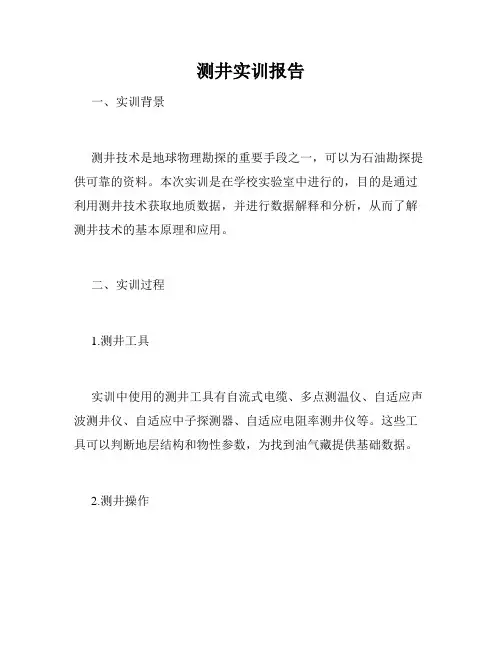 测井实训报告
