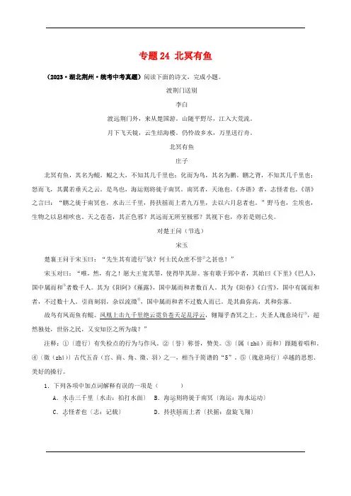 专题24 北冥有鱼(原卷版)-备战2024年中考语文之文言文对比阅读(全国通用)