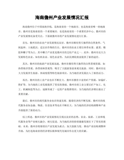 海南儋州产业发展情况汇报