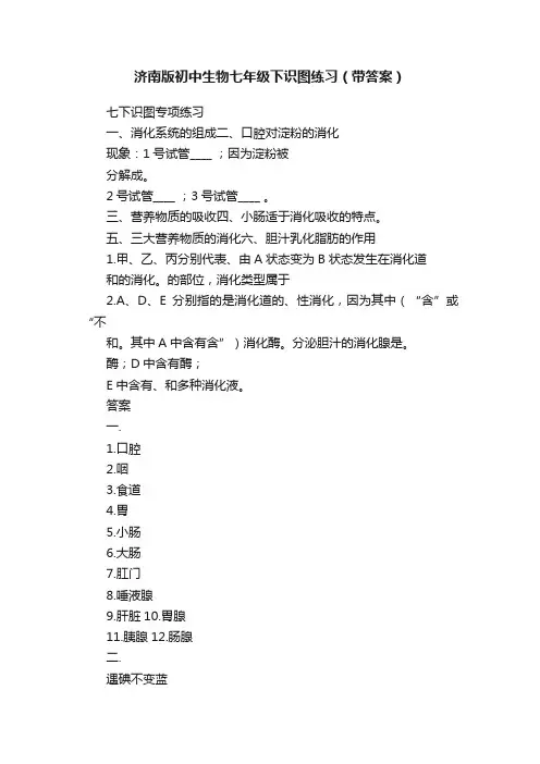 济南版初中生物七年级下识图练习（带答案）