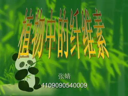植物中的纤维素综述