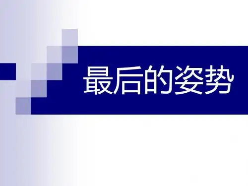 《最后的姿势》PPT课件2