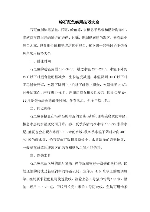 钓鱼技巧：钓石斑鱼实用技巧大全
