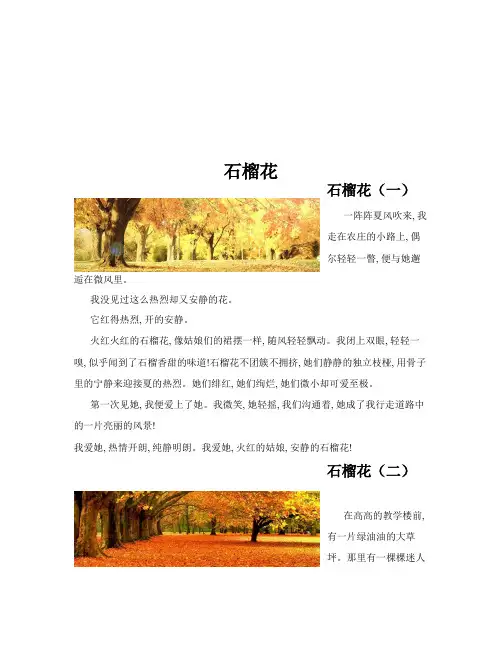 石榴花(共10篇)