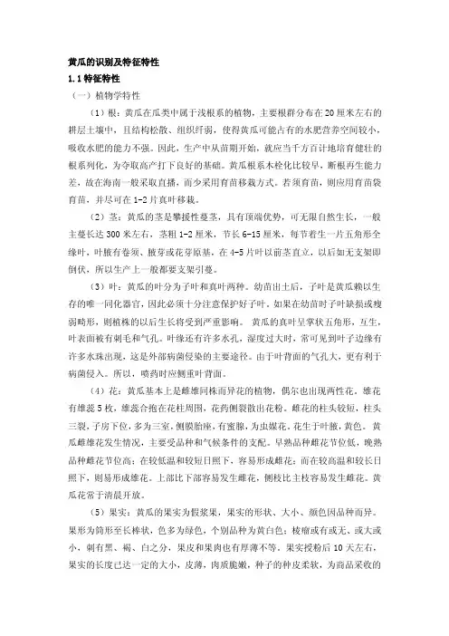 黄瓜的识别及特征特性