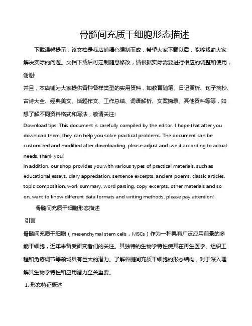 骨髓间充质干细胞形态描述