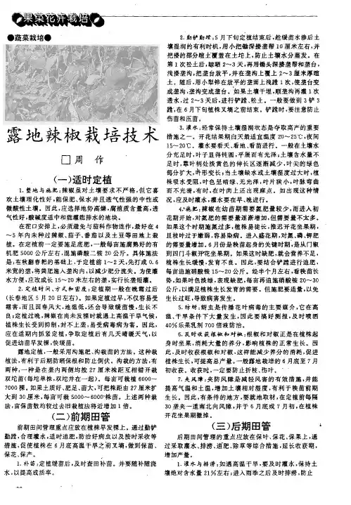 露地辣椒栽培技术