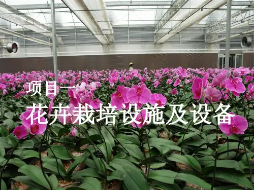花卉栽培设施及设备