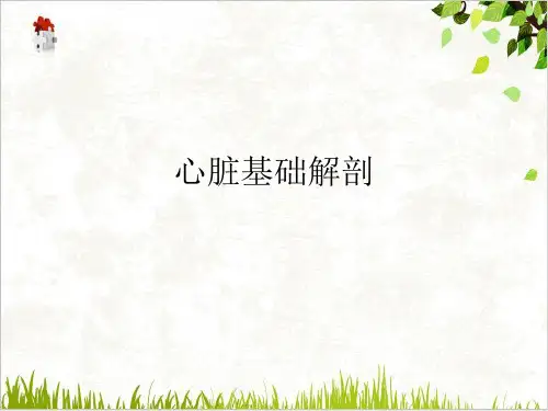 心脏基础解剖PPT.