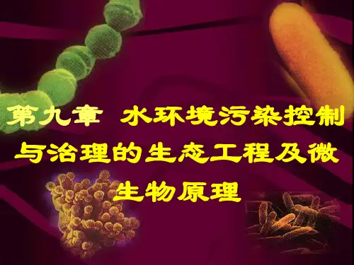 水环境污染控制与治理的生态工程及微生物原理