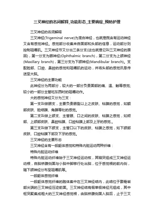 三叉神经的名词解释_功能形态_主要病症_预防护理