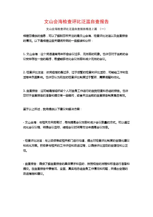 文山会海检查评比泛滥自查报告2篇