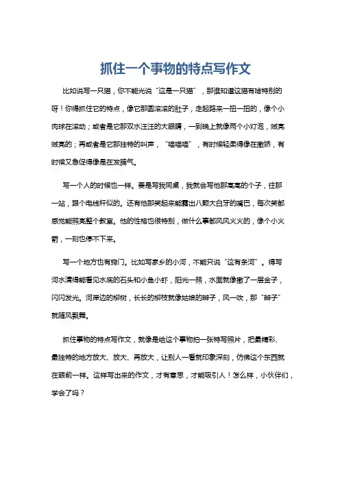 抓住一个事物的特点写作文