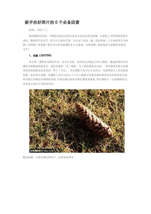 新手拍好照片的6个必备因素
