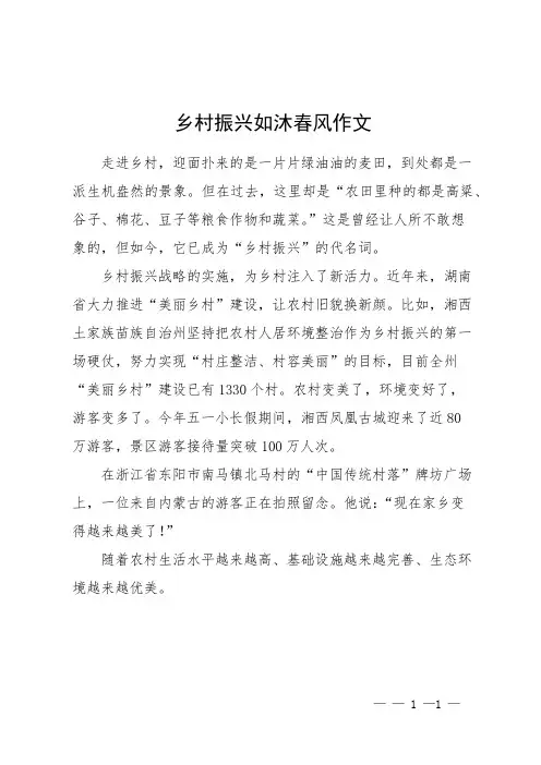 乡村振兴如沐春风作文