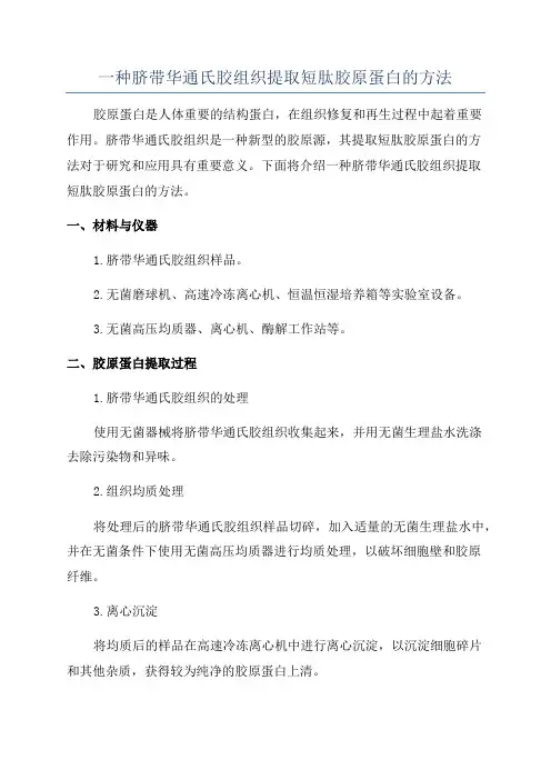 一种脐带华通氏胶组织提取短肽胶原蛋白的方法