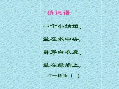 小学三年级下学期语文第3课荷花PPT课件