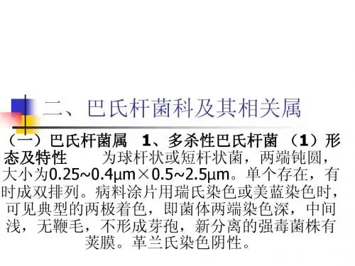 二、巴氏杆菌科及其相关属 - 沈阳农业大学