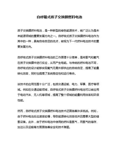 自呼吸式质子交换膜燃料电池