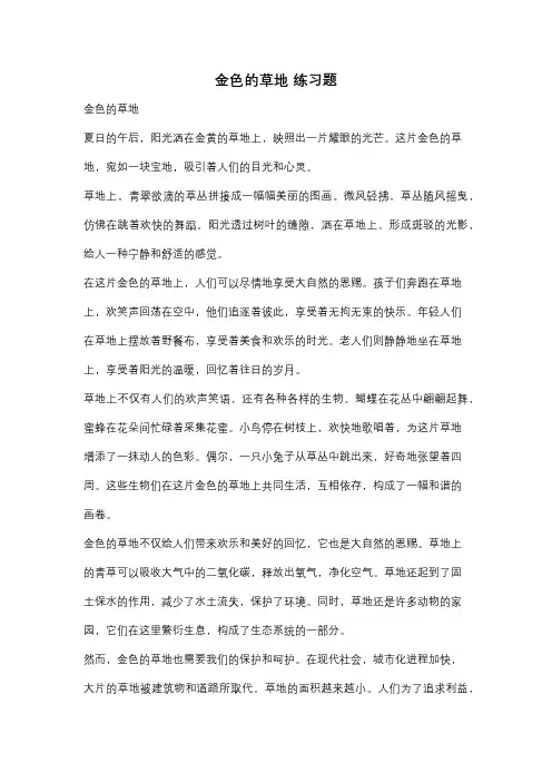 金色的草地 练习题