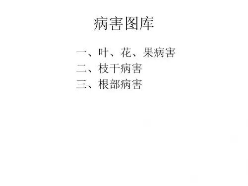 园林植物病虫害防止图库
