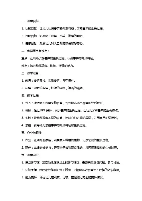 中班科学教案《尖尖的春笋》
