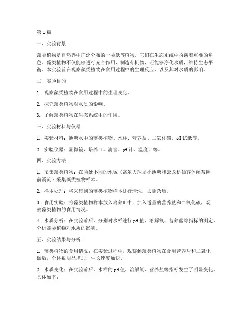 观察食用藻类实验报告(3篇)