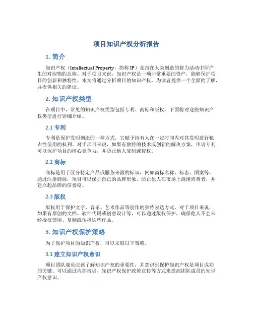 项目知识产权分析报告