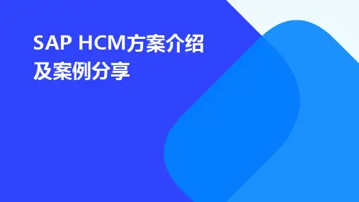 SAPHCM方案介绍及案例分享