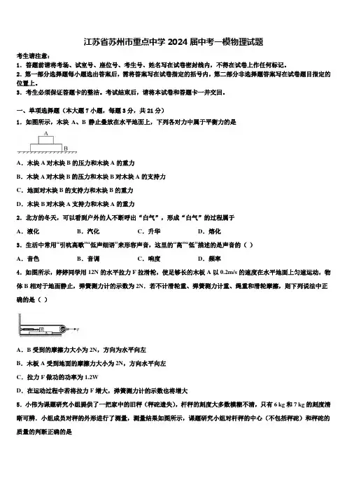 江苏省苏州市重点中学2024届中考一模物理试题含解析