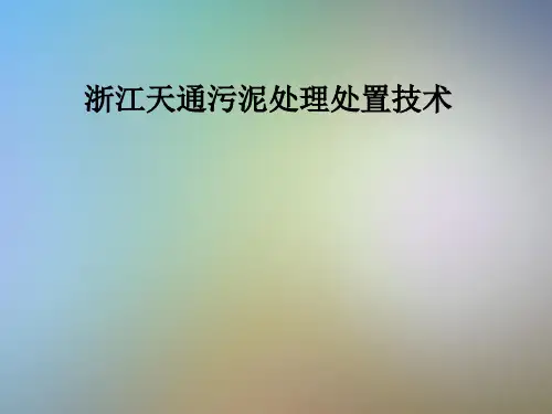 浙江天通污泥处理处置技术