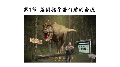 4.1基因指导蛋白质的合成课件-2020-2021学年高一生物人教版（2019）必修2